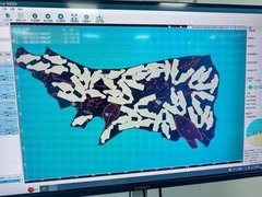 Máquina de corte de couro genuíno para fábrica de sapatos e bolsas de mão