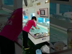 Máquina de marcação da parte superior do calçado